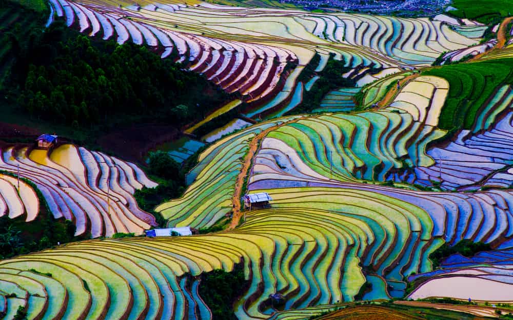 rijstterrassen in Yuangyang